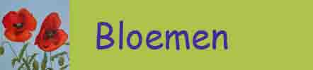 bloemen