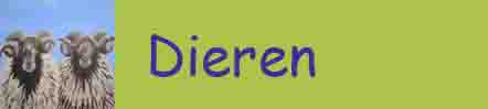 dieren