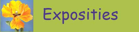 Exposities