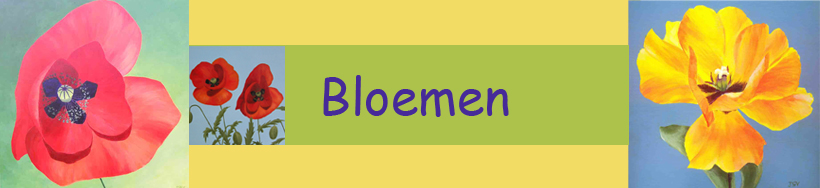 bloemen
