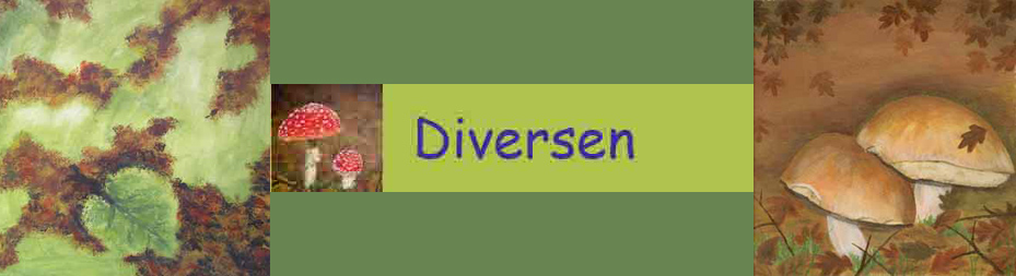 diversen