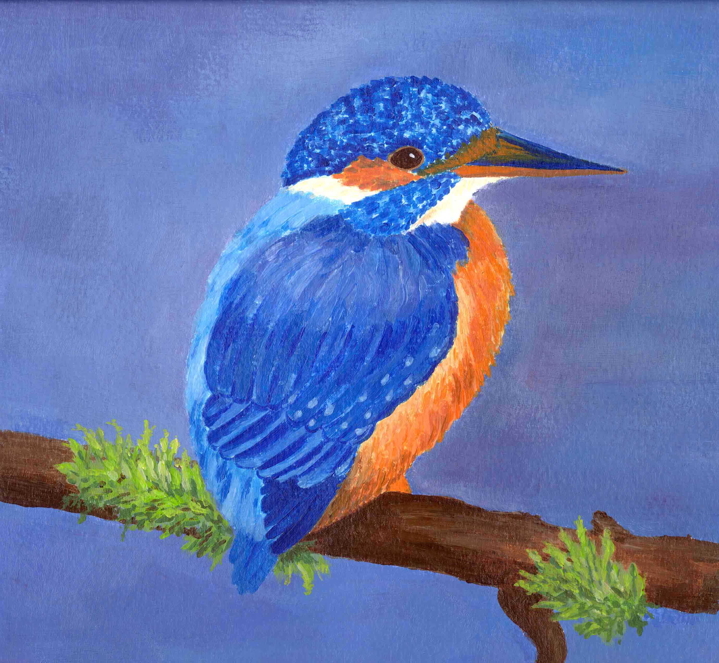 ijsvogel