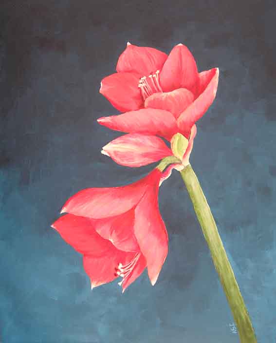 amarilles