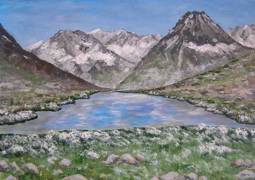 Bergmeertje