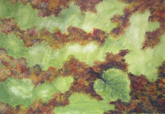 herfstbos in vogelvlucht