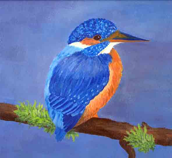 ijsvogel