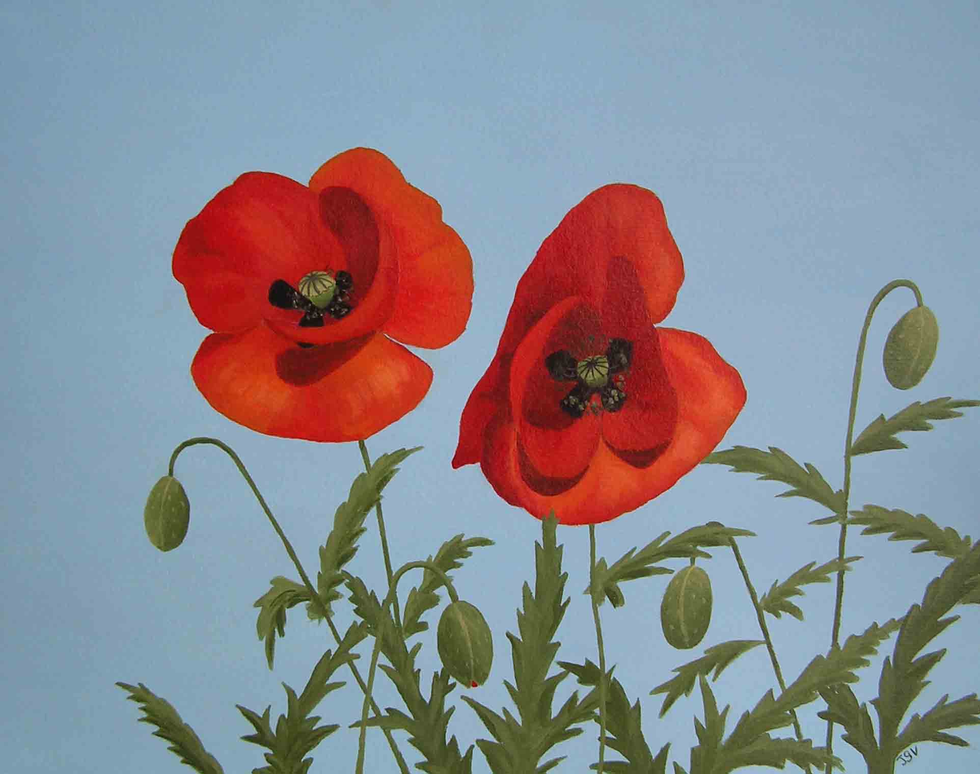 rood