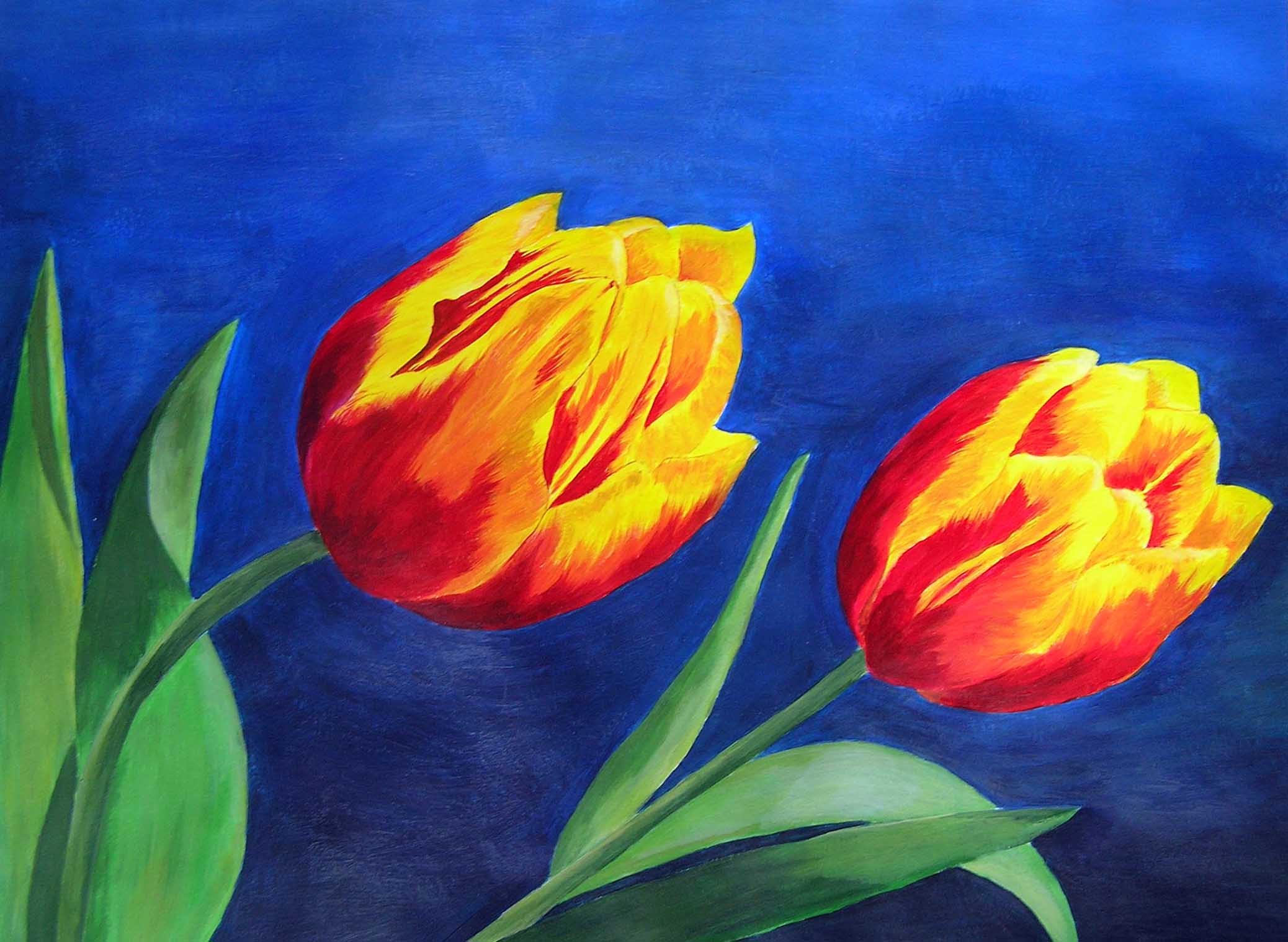 tulpen