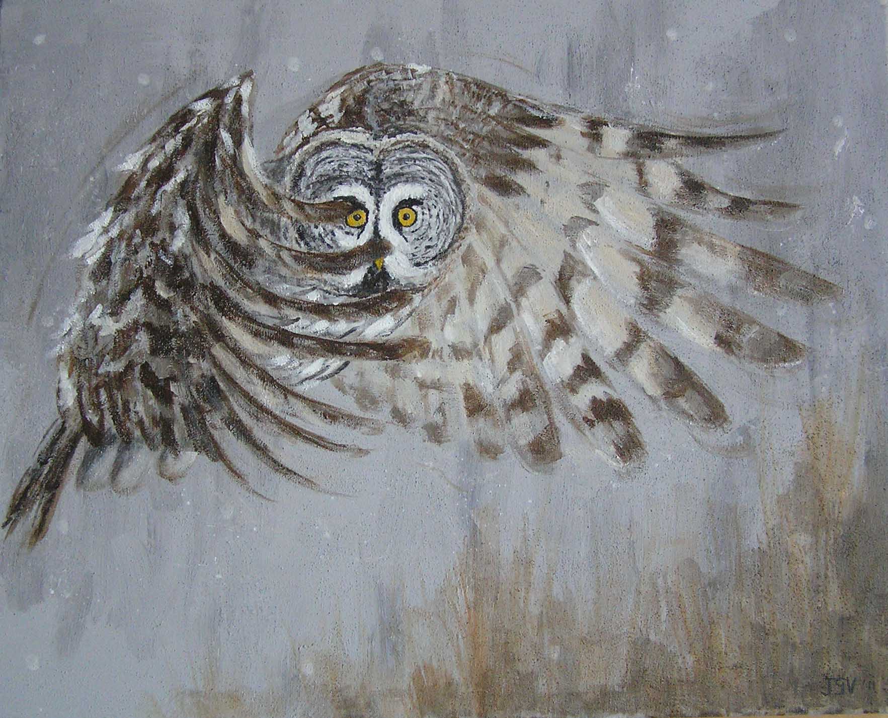 uil in vlucht